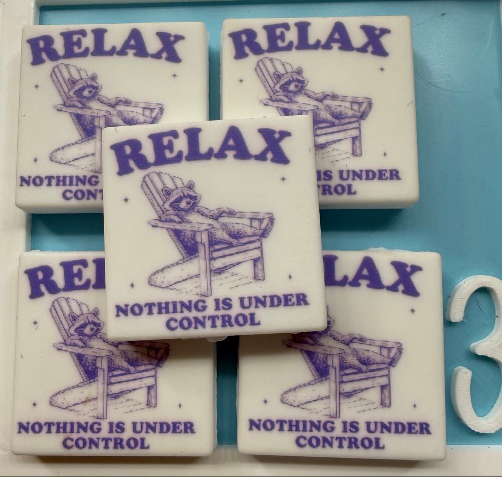 Set of 5 Snarky “Relax Nothing Is Under Control” Silicone Focals for Pens funny